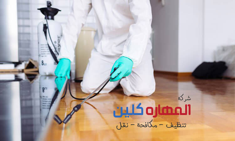 شركة مكافحة النمل الابيض بالرياض