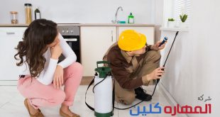 شركة رش مبيدات بالرياض