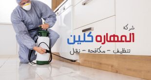 شركة مكافحة حشرات بالرياض